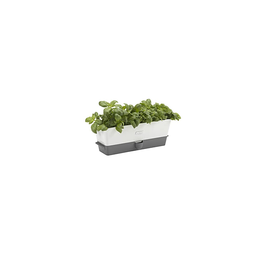 Cole & Mason Burwell Self-Watering Potted Herb Saver, Windowsill Herb Planter Indoor/Herb Box/Indoor Herb Garden, Triple, Suitable for 3 pots (85 mm)