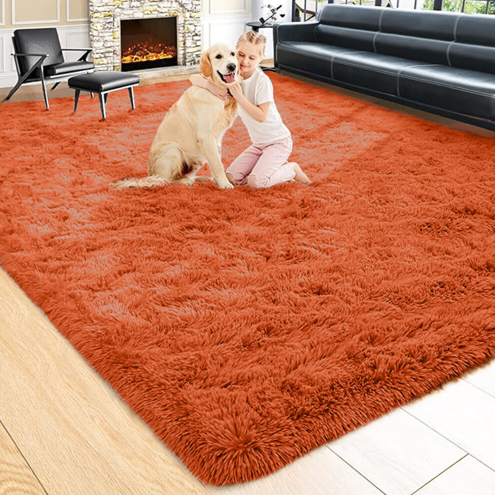 (ORANGE, 60X110 CM) Extra Large Rugs Fluffy Shaggy Living Room Rug