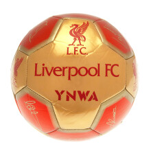 Liverpool FC YNWA Signature Football - Official Licensed, 26-Panel Crest with Printed Player Signatures (47cm)