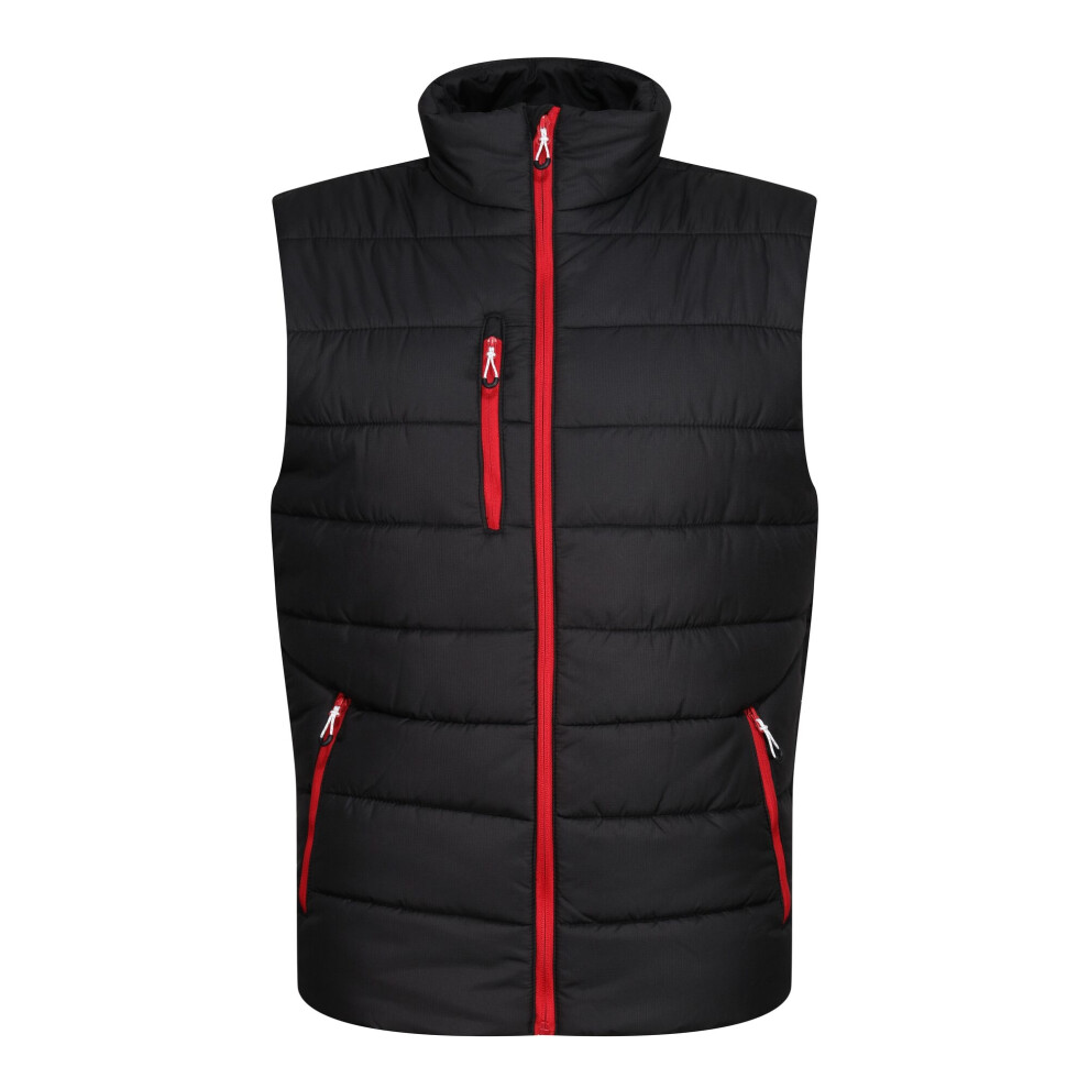 (S, Black/Classic Red) Regatta Mens Navigate Thermal Body Warmer