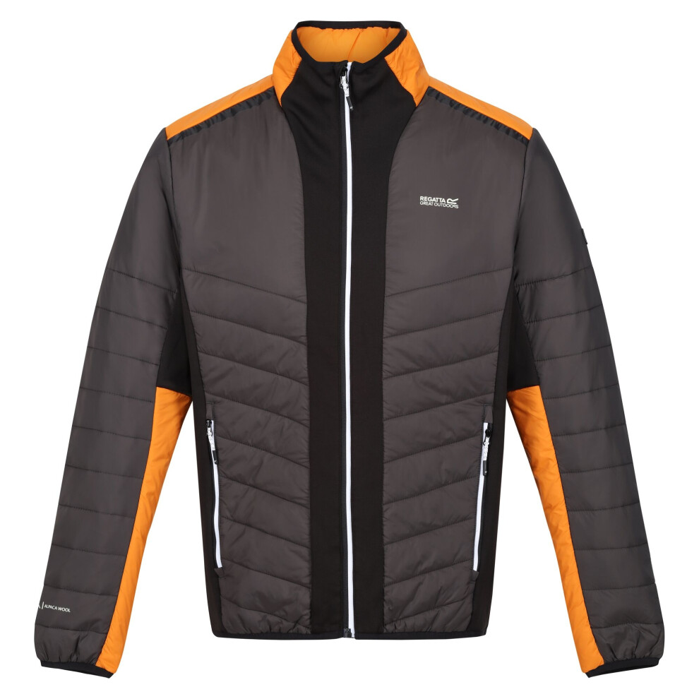 (L, Ash/Orange Pepper) Regatta Mens Halton VII Contrast Panel Baffled Padded Jacket