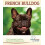 French Bulldog The Essential Guide 1