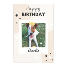 (Happy Birthday My Dear Dog. Cute Cartoon Pet Birthday Card=1) Custom Canvas Prints Animal Pets Dog Cat Personalized Photo Image Collage Picture 16x20 inch/ No Frame