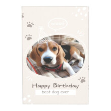 (Happy Birthday Best Dog Ever) Custom Canvas Prints Animal Pets Dog Cat Personalized Photo Image Collage Picture 16x20 inch/ No Frame