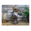 Dapper Reading Owl Bust | Resin Figurine Ornament 6