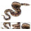 Large Realistic Rubber Snake, Prank Snake Toy 3
