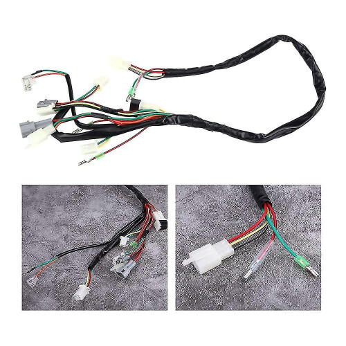 Motorcycle Replacement Wire Harness Assembly For Pw50 2