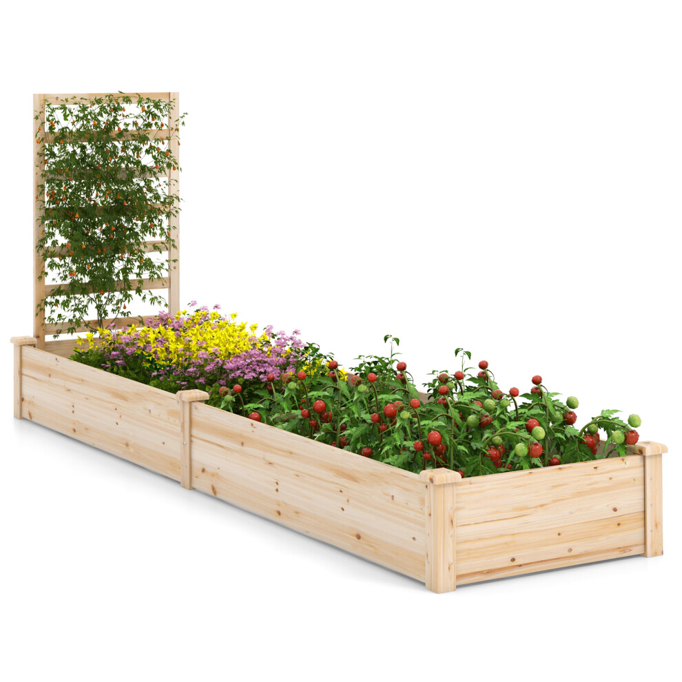 Outdoor Wooden Raised Garden Bed Divided Planter Box W/ Trellis Natural