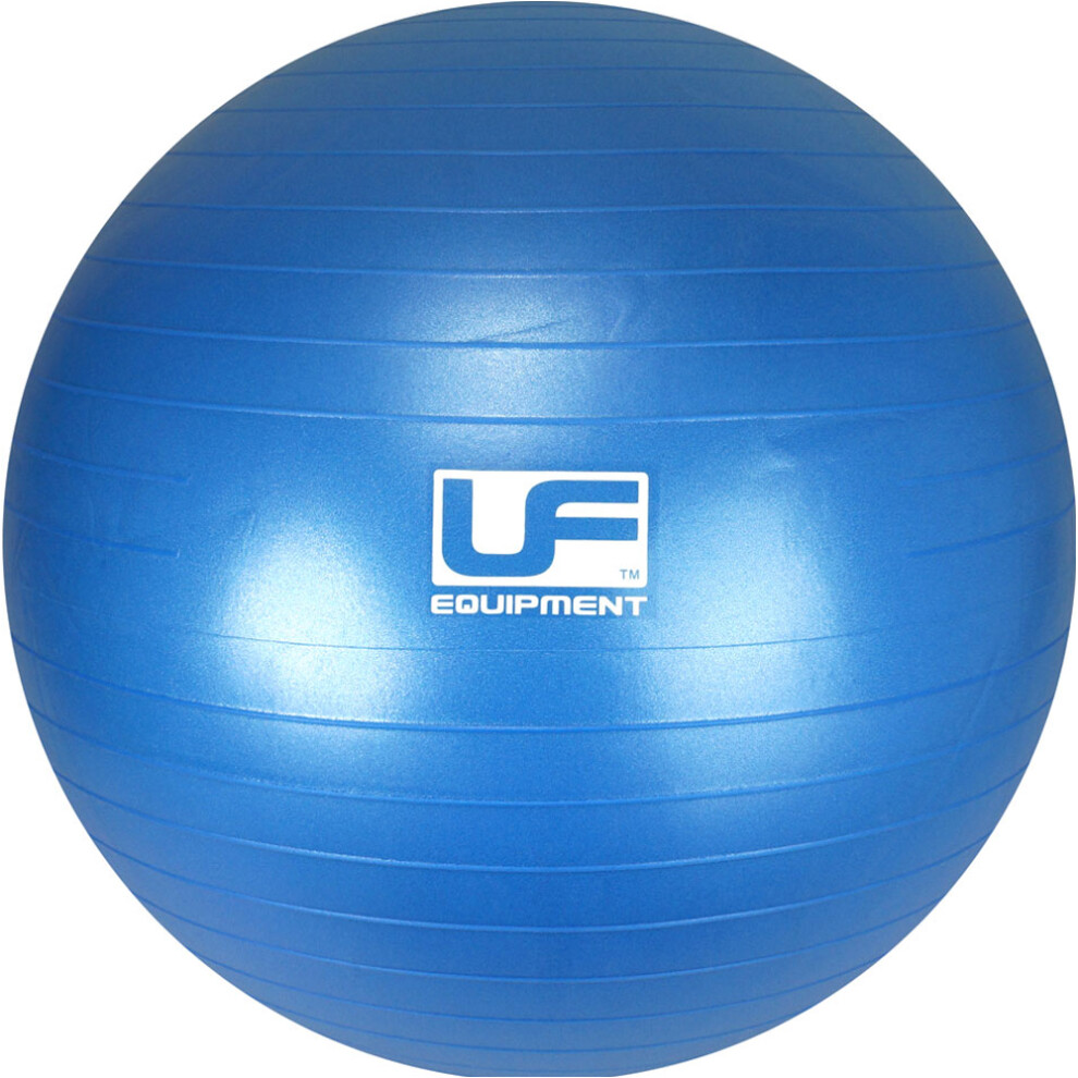 65cm Swiss Gym Ball & Pump - 500KG Burst Resistance - Exercise Workout Ball-image-OPC-PDNSBHP-NEW