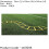 Loops 10 PACK Trapezoidal Agility Grid Kit - Football Training Footwork Speed Ladder 2