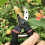 Gartenschere Gartengeräte Blumenschere 3