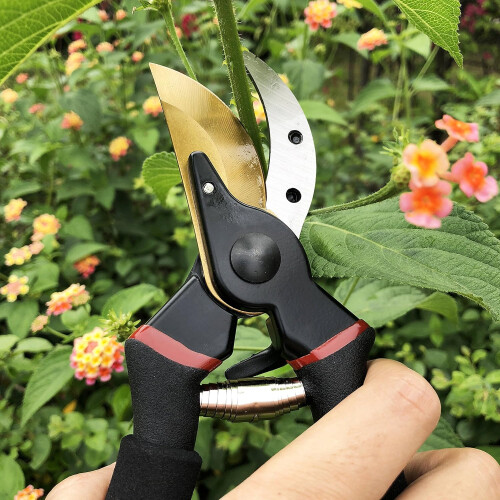 Gartenschere Gartengeräte Blumenschere 2