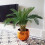 120cm Artificial Cedar Cypress Topiary UV Resistant 7