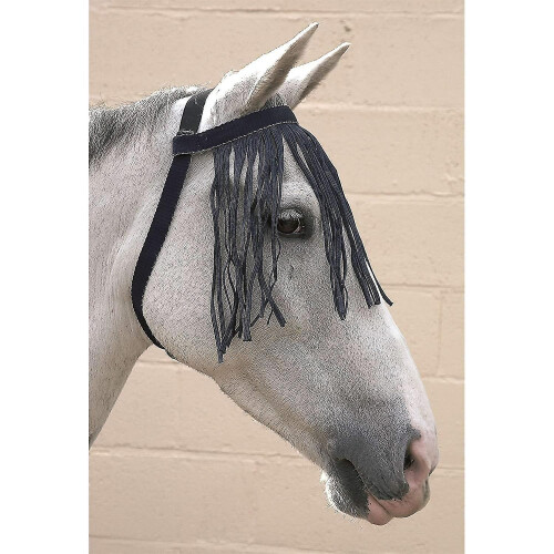 Free Fit Fly Fringe(best) 2