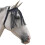 Free Fit Fly Fringe(best) 2