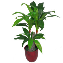 120cm Pair of Bay Tree Laurel UV Resistant Outdoor Topiary