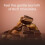Aromatherapy Essential Warming Body Massage Oil Chocolate 100ML 7