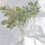 Faux Lambs Ear Stems 5Pcs Artificial Greenery for Home DIY Craft 4