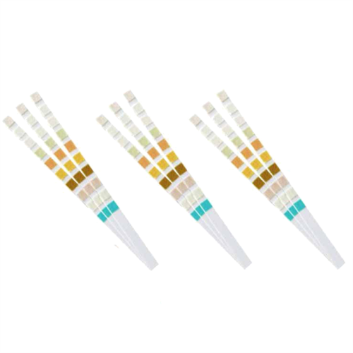 100 Strips Urine Test Strip 10 Parameters 1