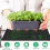 50W Seedling Heat Mat with Thermostat EU Plug 4