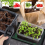 50W Seedling Heat Mat with Thermostat EU Plug 2