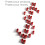 Peg Hook Lock Stop Lock 100 Pcs Plastic Red Stop Lock Anti-Theft Lock 5