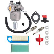Carburetor Kit for 13.5HP 591731 796109 Engine