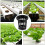100 Pack Net Cups Slotted Mesh Wide Lip Filter Plant Net Pot 6