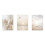 3Pcs Beige Grass Sunset Beach Palm Tree Canvas Painting 1