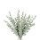 36 Pieces of Eucalyptus Stems Artificial True Gray Leaf 1