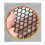 Plastic Chicken Wire Fence Mesh,Fencing Wire White 2