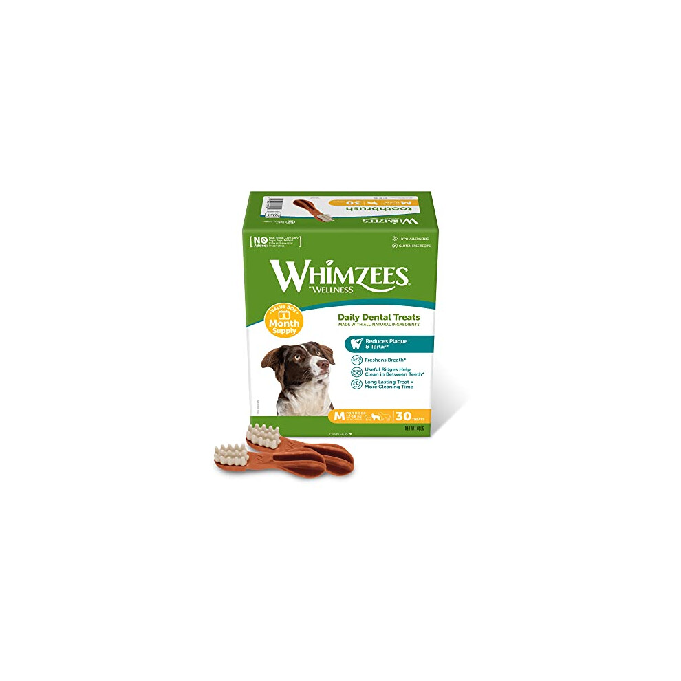 New Whimzees By Wellness Toothbrush, Month Box, Natural And -Free Dog Chews, Dog Dental Sticks For Medium Breeds, 30 Pieces (One Month Supply) Grain