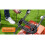 Flymo SimpliMow 32cm Corded Rotary Lawnmower - 320V 4
