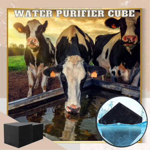 Water Purifier Cubes Activate Carbon High-efficiency Water Purification Filter For 2