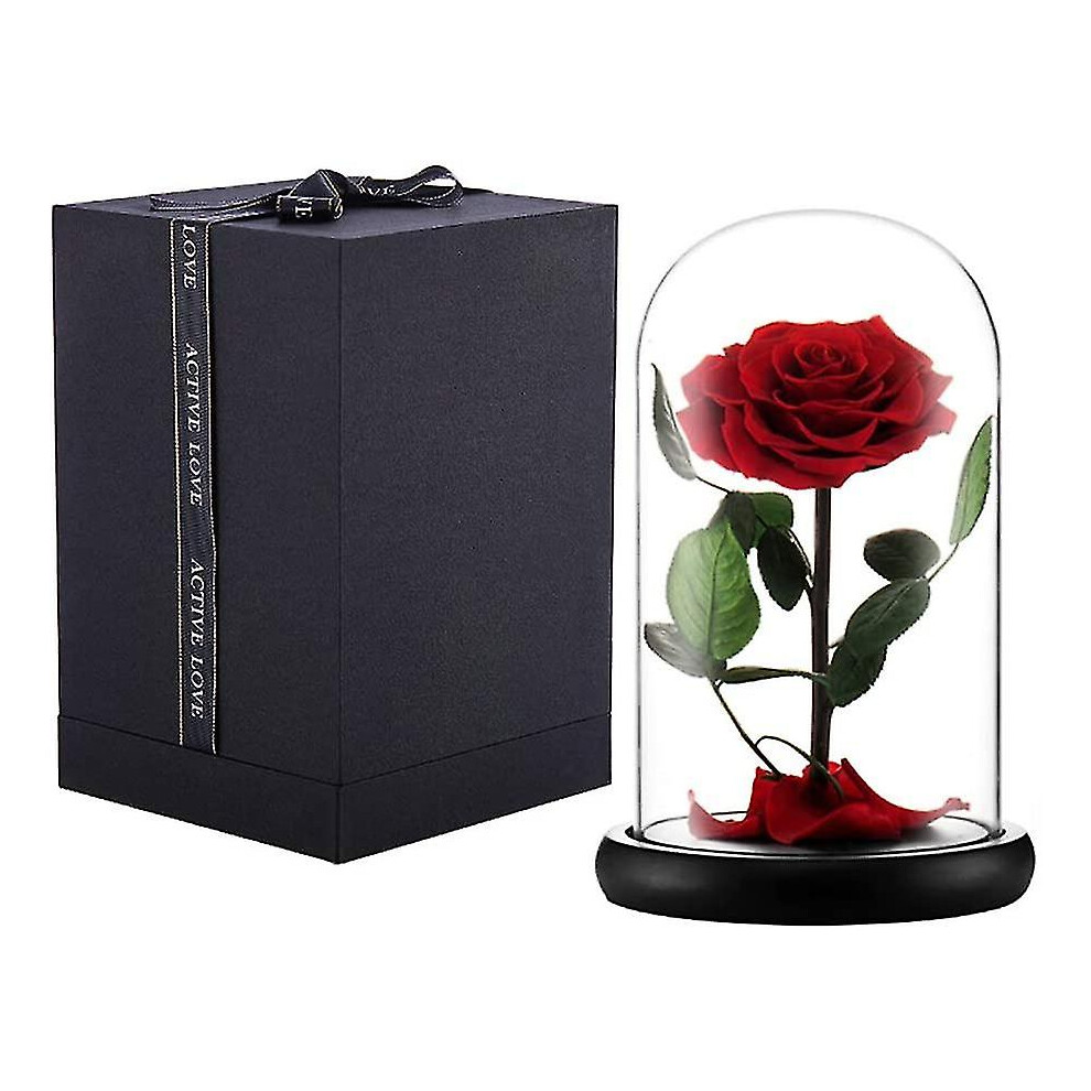 (Red) Preserved Real Rose Eternal Rose In Glass Dome Gift For Her Thanksgiving Christmas Valentine's Day Birthday Mother's Day (red)