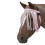 Free Fit Fly Fringe(best) 1