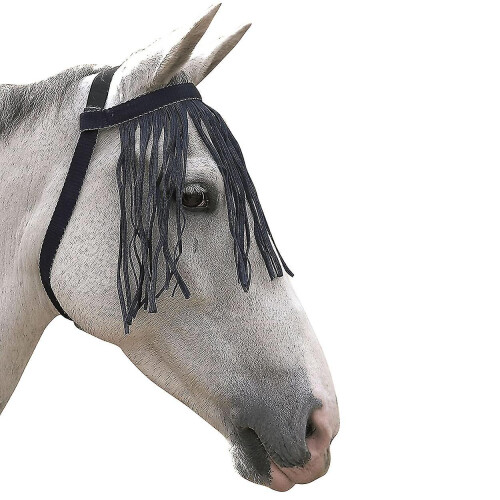 Free Fit Fly Fringe(best) 1