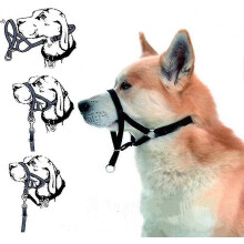 Halti Head Collar Dog Training Obedience Stop Pulling On Lead No Pull Solution