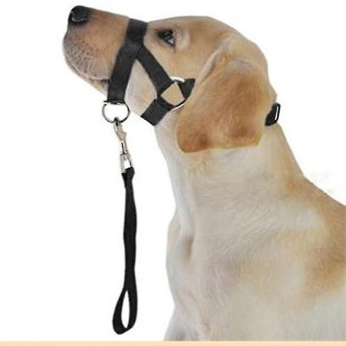 Halti Head Collar Dog Training Obedience Stop Pulling On Lead No Pull Solution 2