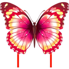 Colorful Butterfly Kites For Children And Adults