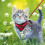 Cat Harness And Leash For Walking, Escape Soft Adjustable Vest Harness 7