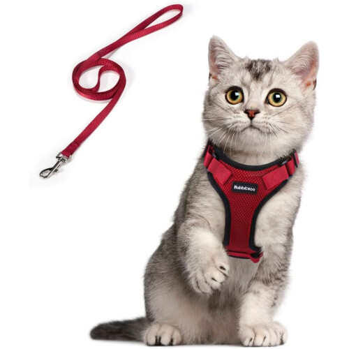 Cat Harness And Leash For Walking, Escape Soft Adjustable Vest Harness