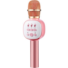 Wireless Bluetooth Karaoke Microphone, Portable Kids Mic