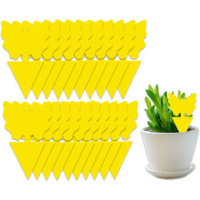50 Pack Sticky Insect Traps For Flying Plant Insects Such As Fungus Gnat, Whiteflies, Aphids, Leaf Miners