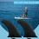 Surfboard Fin  Inflatable Paddleboard Fin  Quick Release Detachable Longboard Center Fin 7