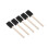 Foam brushes, different sizes, 50 pcs, sponge brush, foam brushes 6