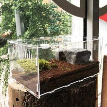 Reptile Terrarium, Tarantula Enclosure, Large Feeding Tarantula Habitat Box for Small Animals Insect