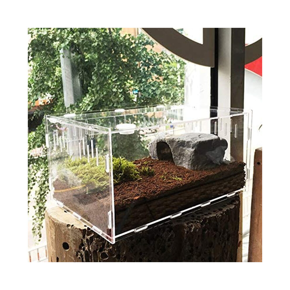Reptile Terrarium, Tarantula Enclosure, Large Feeding Tarantula Habitat Box for Small Animals Insect