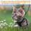 Cat Harness with Leash, Breathable Kitten Harness with Reflective Strips Adjustable Black Vest 7