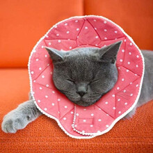 Adjustable Cat Cone Collar Soft, Cat Recovery Collar, Cute E Collar After Cat Surgery, Cat Neck Cone To Stop Licking